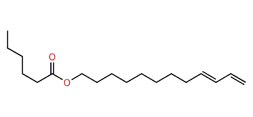 (E)-9,11-Dodecadienyl hexanoate